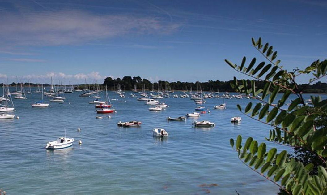 La Maison d'Annick Location de vacances à Baden au bord du Golfe du Morbihan à 100m de la mer